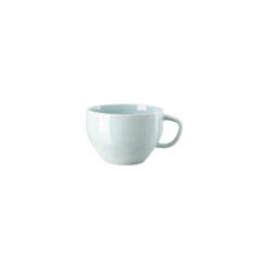 Rosenthal Café Au Lait Cup