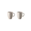Rosenthal Set Of 2 Mugs With Handle