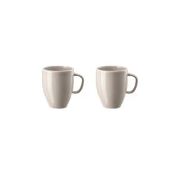 Rosenthal Set Of 2 Mugs With Handle