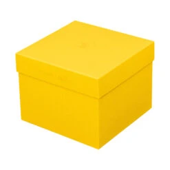 Tea Cup & Saucer -Rosenthal Verkaufsgeschäft 10570 426352 14640 K f25