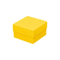 Espresso Cup & Saucer -Rosenthal Verkaufsgeschäft 10570 426352 14715 K f25