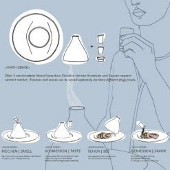 Rosenthal Gourmet Plate 32 Cm -Rosenthal Verkaufsgeschäft 11771 800001 10732 6 e w