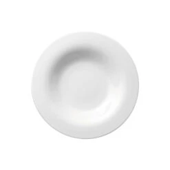 Rosenthal Plate Deep 24 Cm