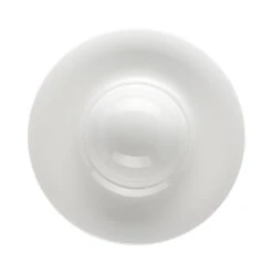 Rosenthal Rice Plate