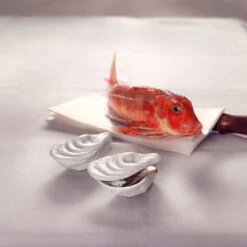 Rosenthal Box -Rosenthal Verkaufsgeschäft 69057 000102 24995 Knurrhahn m