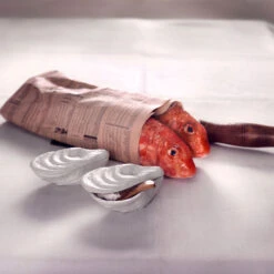 Rosenthal Box -Rosenthal Verkaufsgeschäft 69057 000102 24995 Rotbarbe m